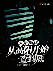 大唐婿探：从高阳开始一查到底